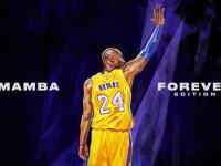 IM电竞游戏-西亚卡姆存在感拉满！掘金奇才激战，他如何成为全场焦点？