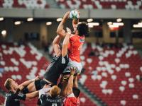 IM电竞官网-许昕刷新纪录难挽狂澜，日本队横扫中国队引发乒坛格局新思考