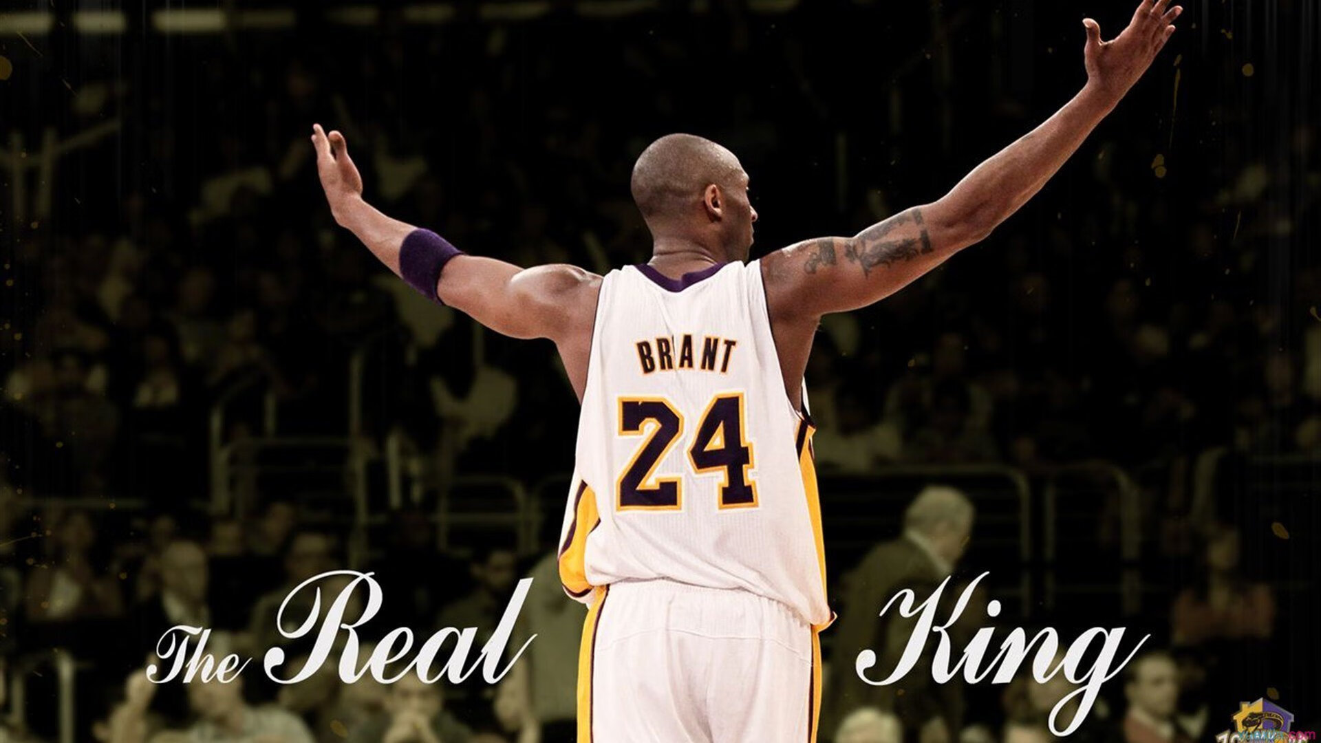 锡安暴力美学统治全场!湖人季前赛险胜上海,天赋对决见证未来巨星诞生